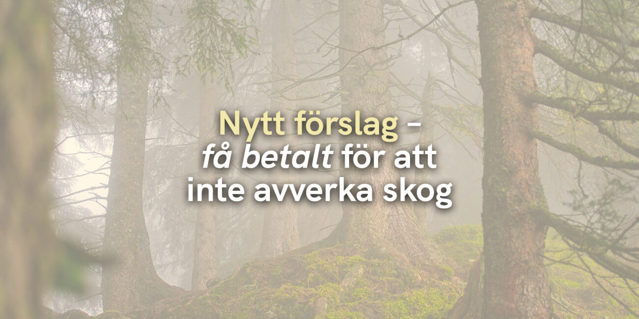 Nytt förslag – Få betalt för att inte avverka skog