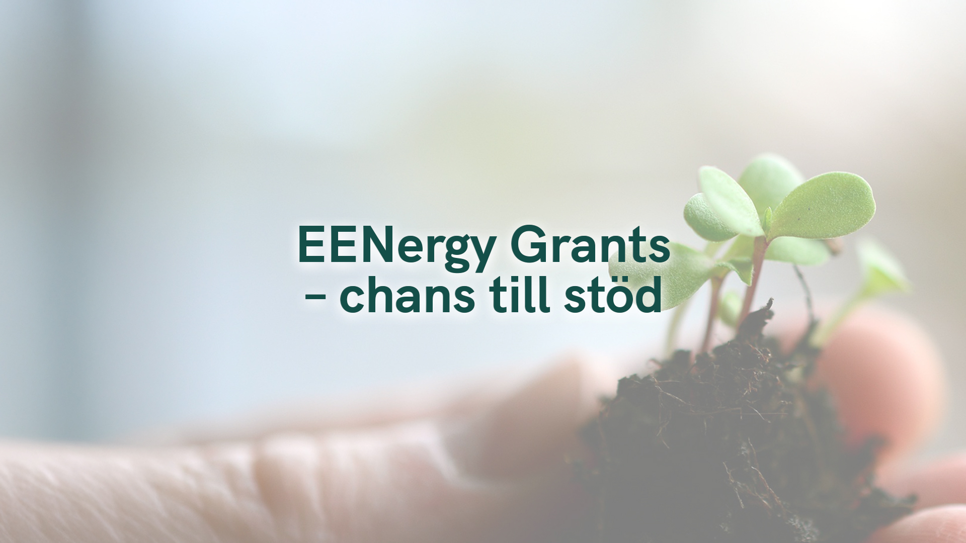 EENergy Grants – chans till stöd