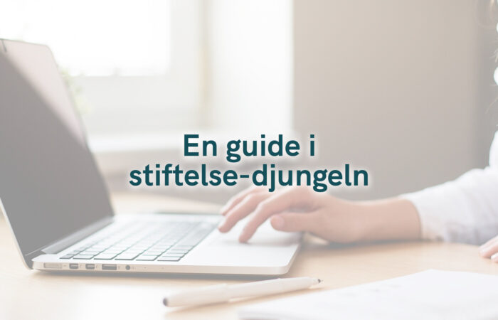 En guide i stiftelse-djungeln 