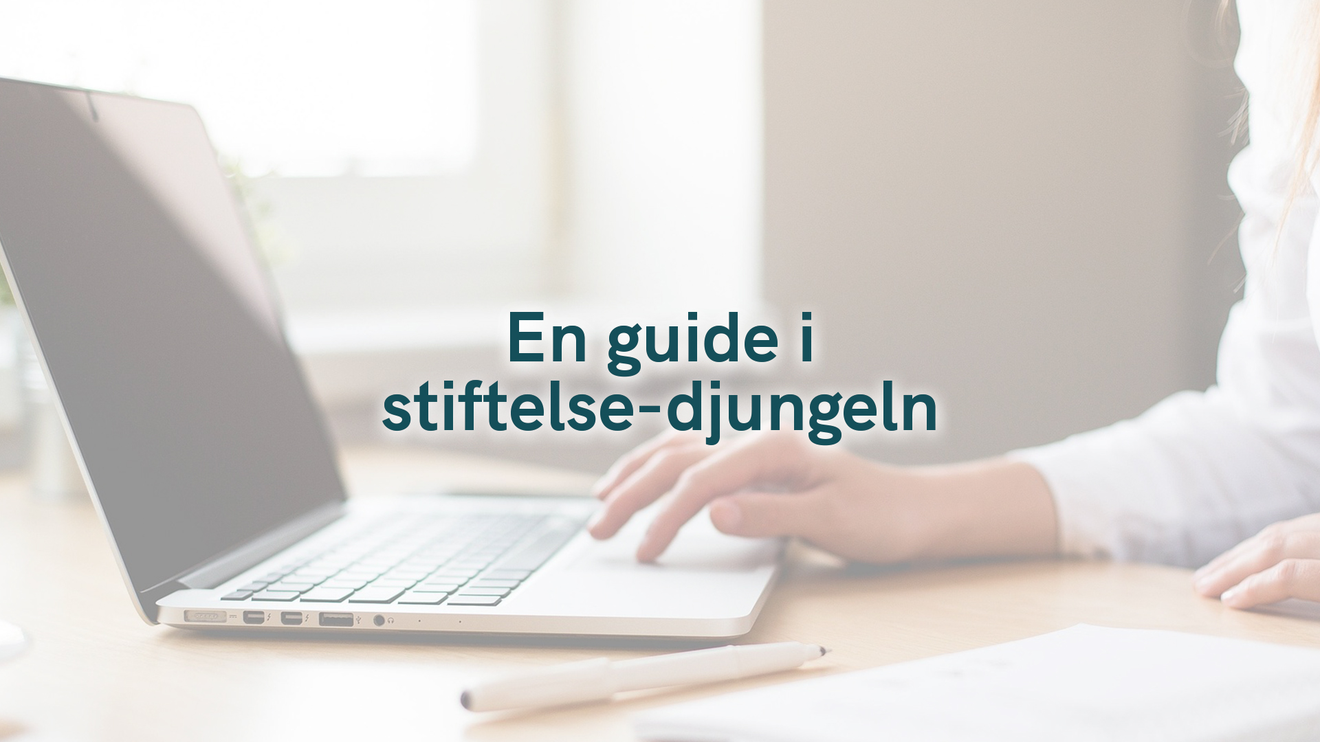 En guide i stiftelse-djungeln 