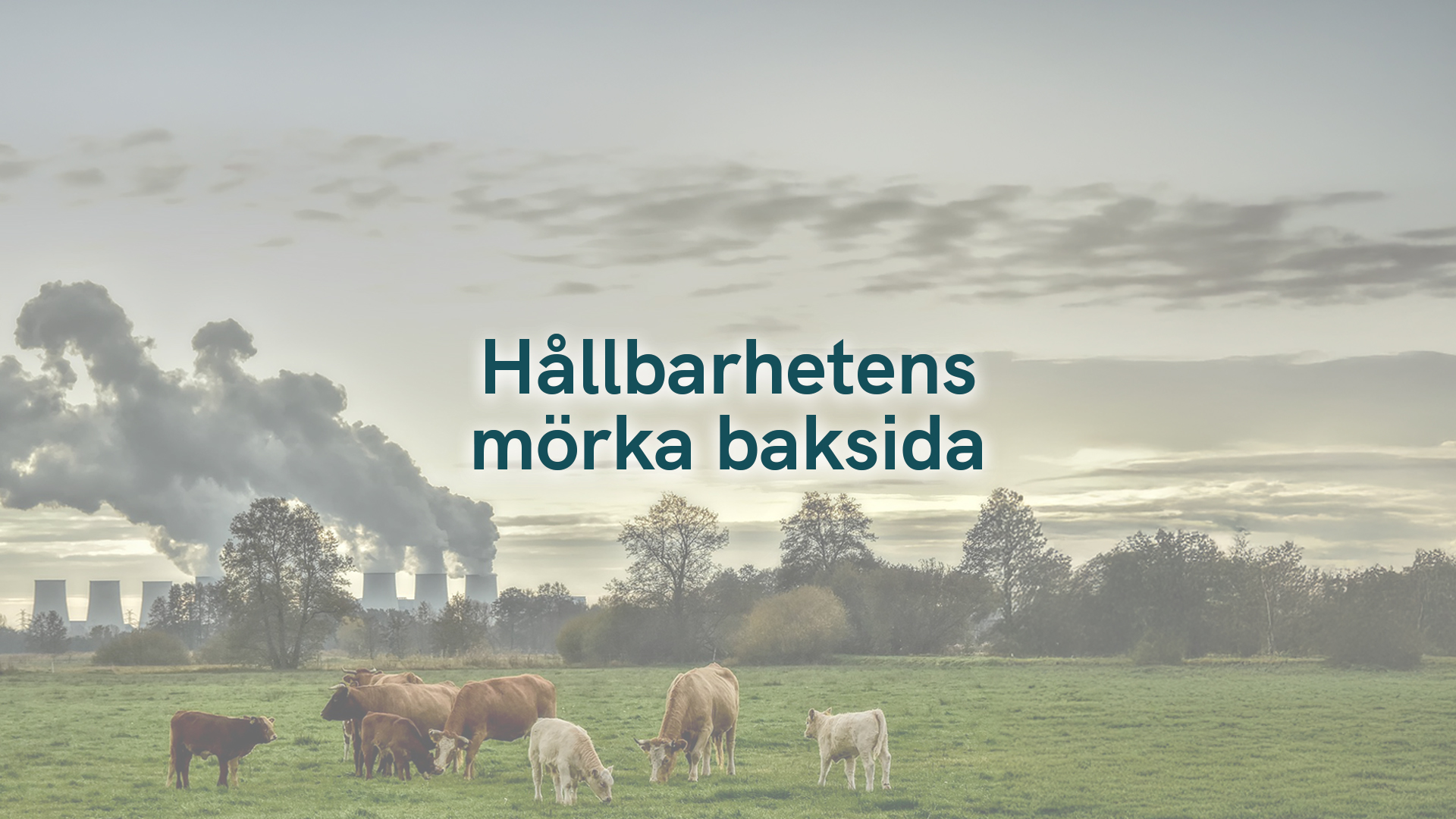 Hållbarhetens mörka baksida