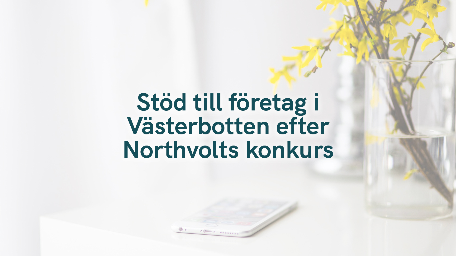 Stöd till företag i Västerbotten efter Northvolts konkurs