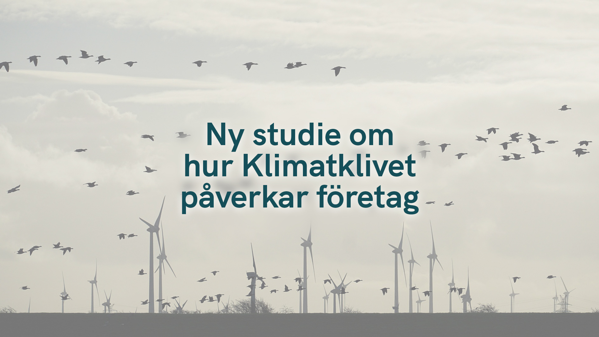 Ny studie om hur Klimatklivet påverkar företag