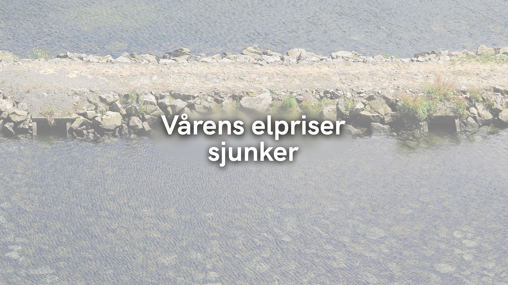 Vårens elpriser sjunker