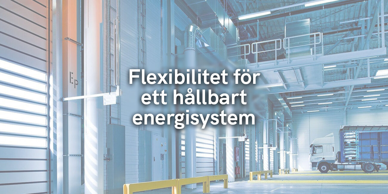 Flexibilitet för ett hållbart energisystem