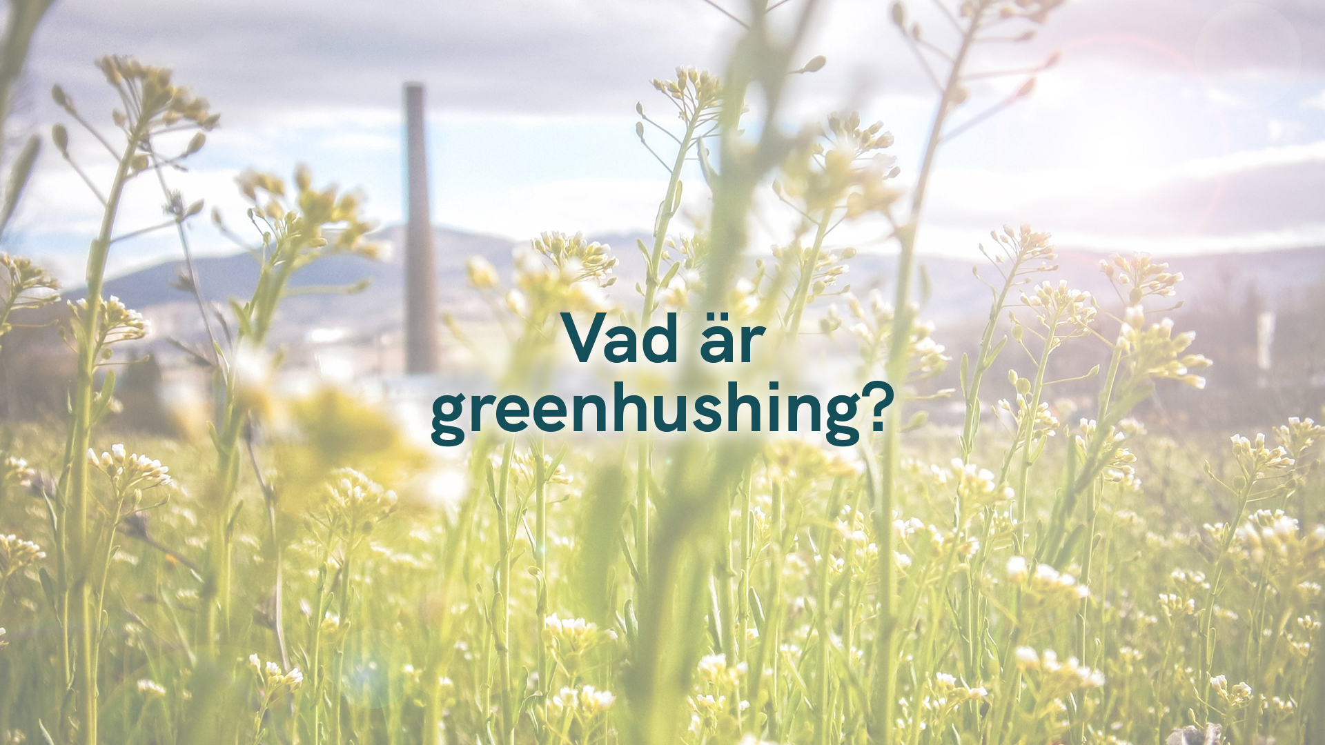 Vad är greenhushing?