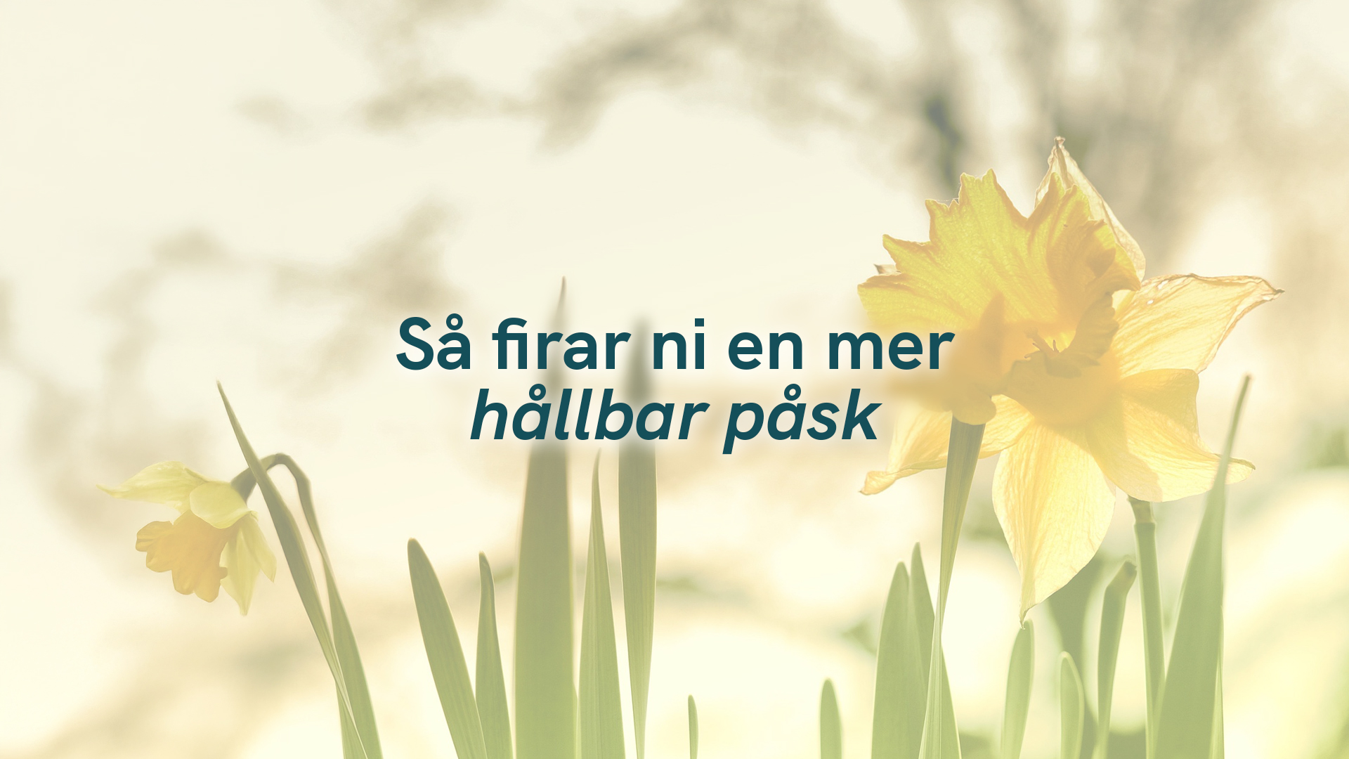 Så firar ni en mer hållbar påsk