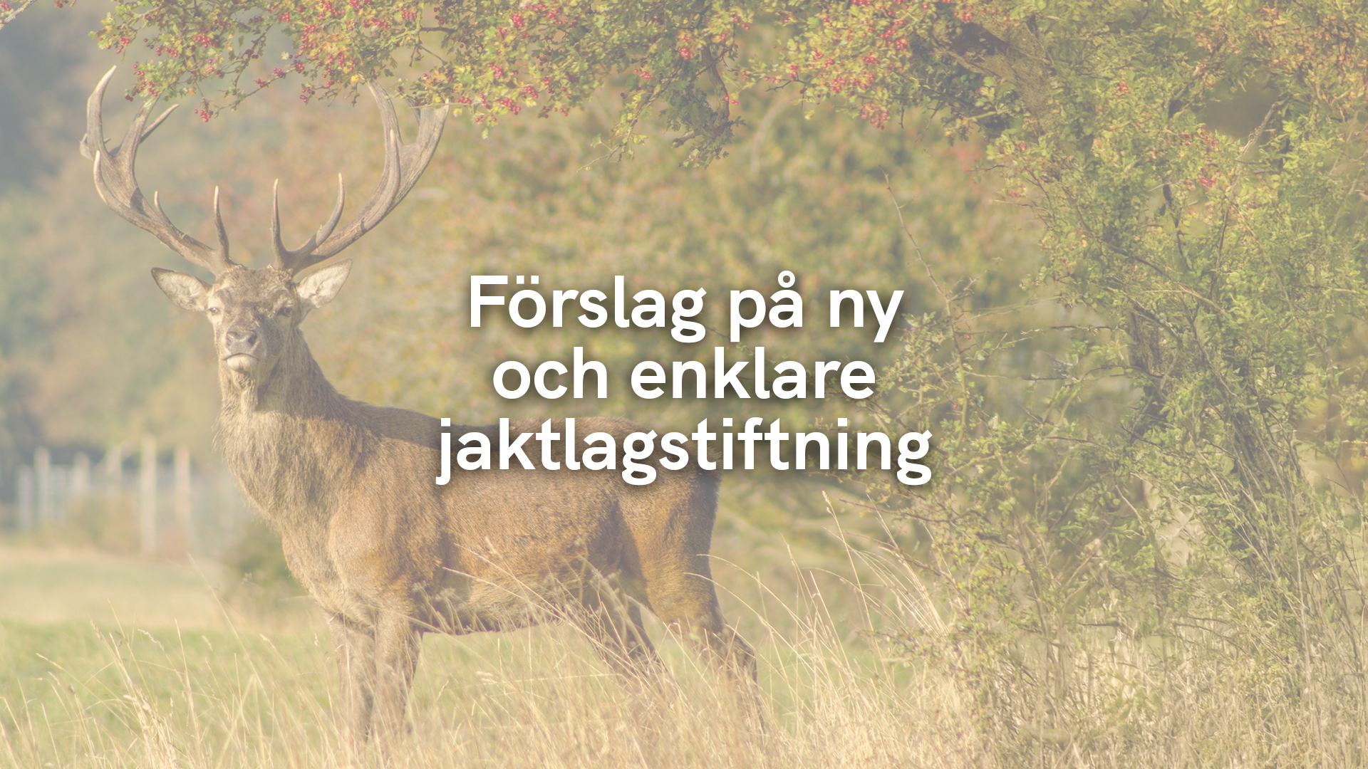 Förslag på ny och enklare jaktlagstiftning