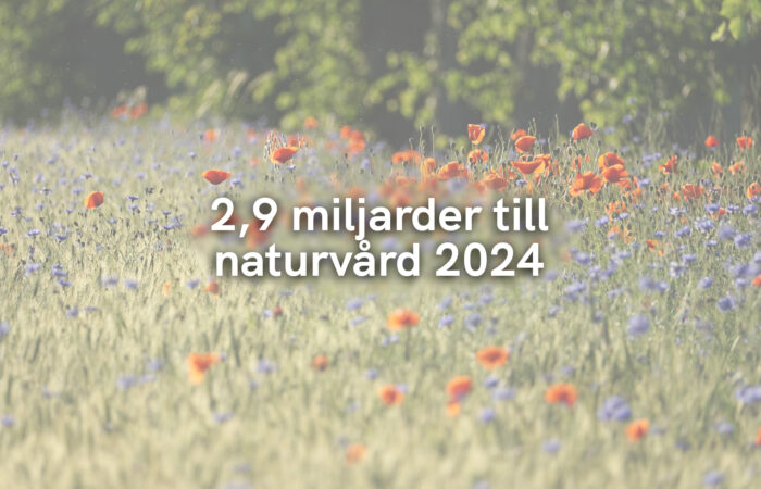 2,9 miljarder till naturvård 2024