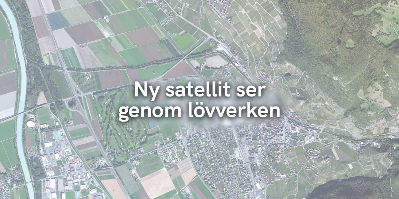 Ny satellit ser genom lövverken