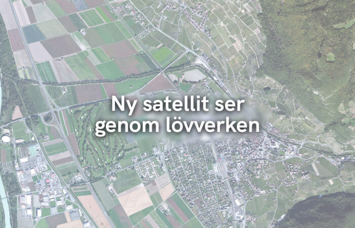 Ny satellit ser genom lövverken