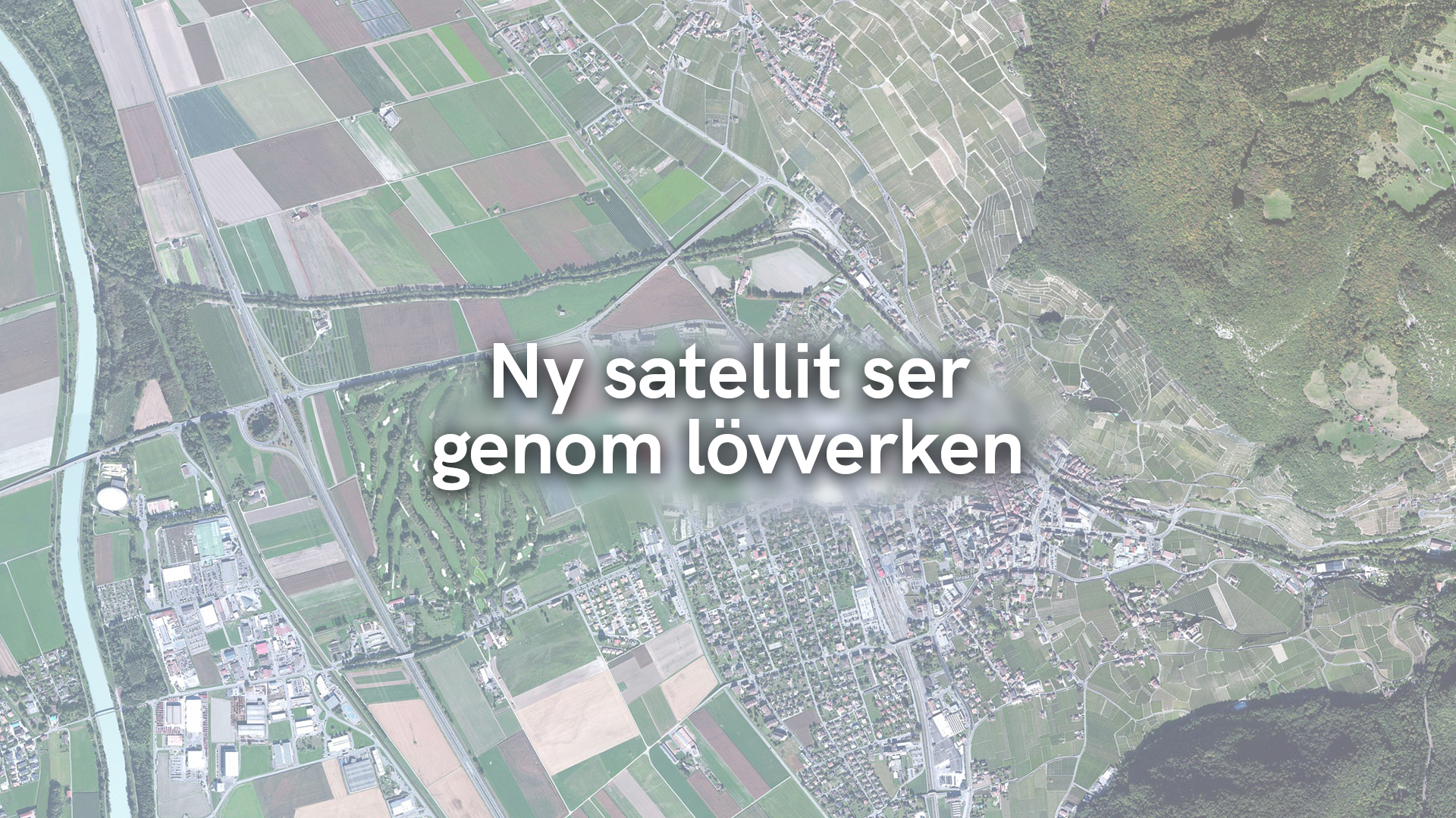 Ny satellit ser genom lövverken
