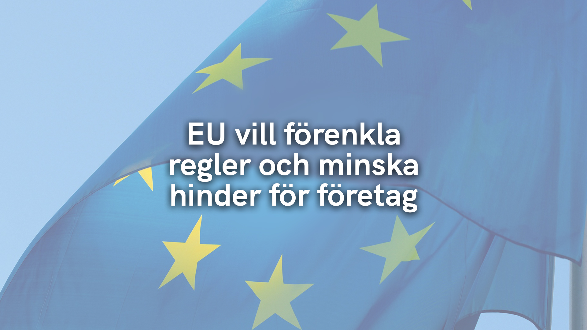 EU vill förenkla regler och minska hinder för företag