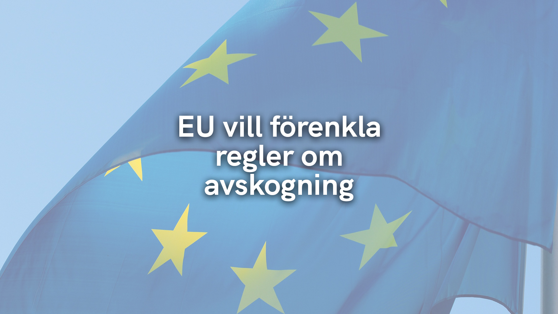 EU vill förenkla regler om avskogning