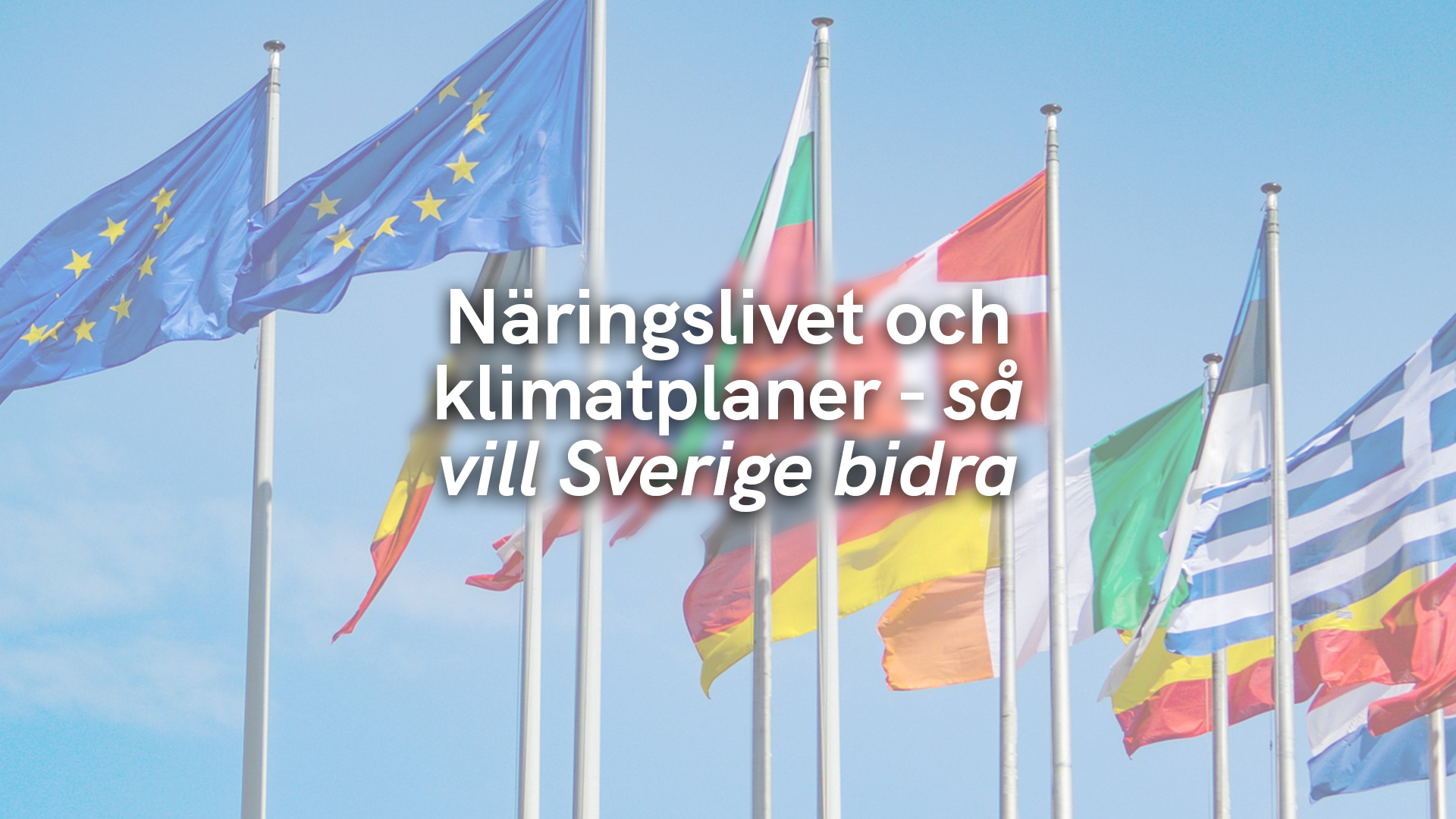 Näringslivet och klimatplaner – så vill Sverige bidra