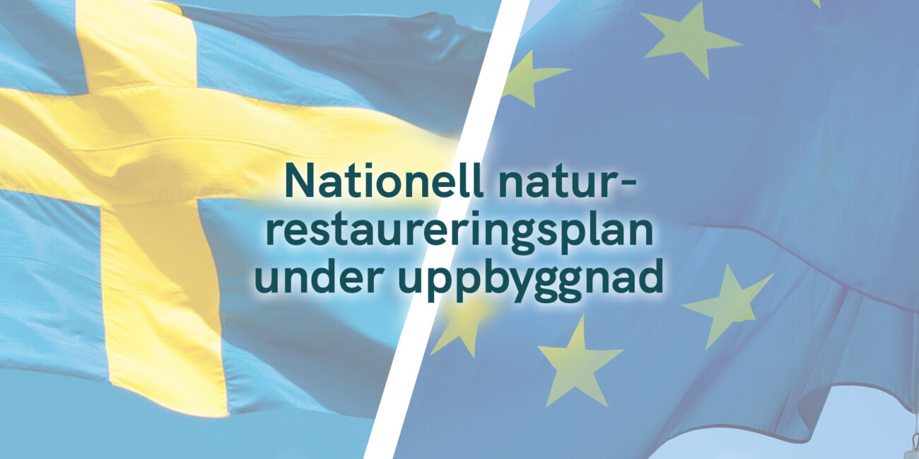 Nationell naturrestaureringsplan under uppbyggnad