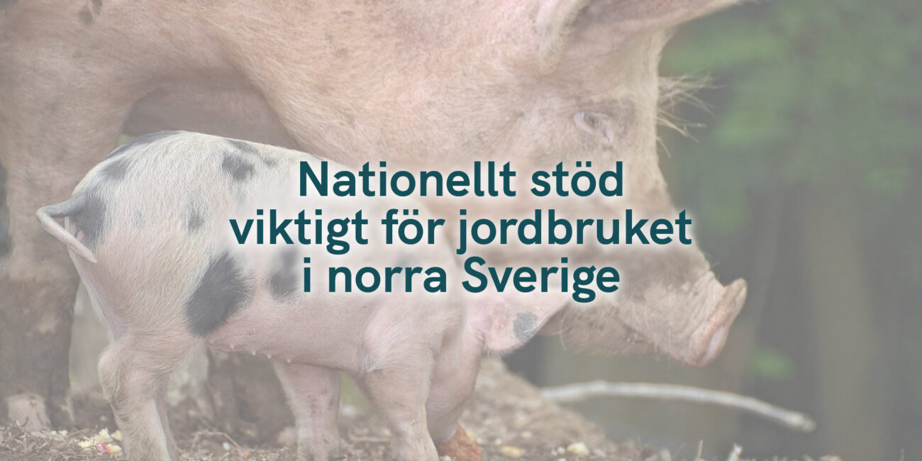 Nationellt stöd viktigt för jordbruket i norra Sverige