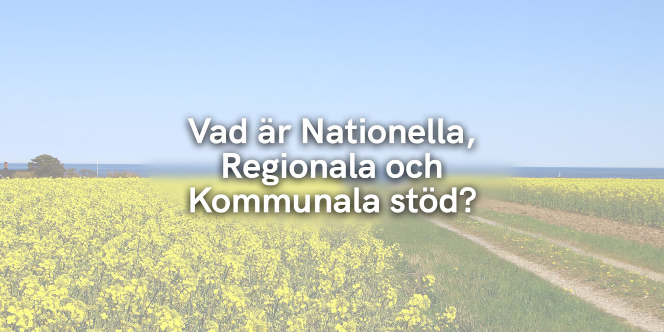 Vad är Nationella, Regionala och Kommunala stöd?