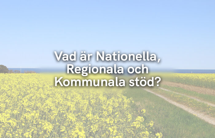 Vad är Nationella, Regionala och Kommunala stöd?