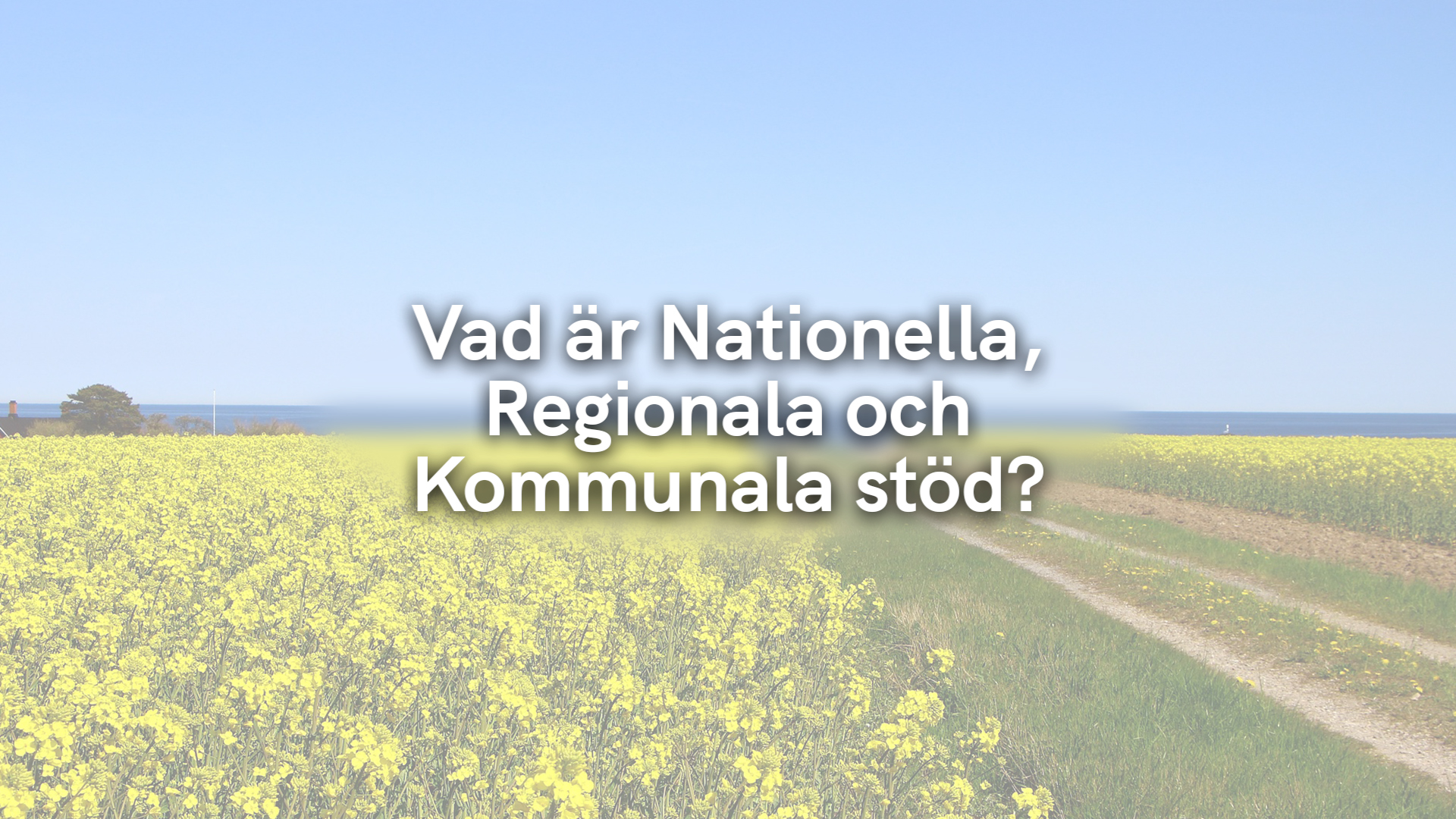 Vad är Nationella, Regionala och Kommunala stöd?