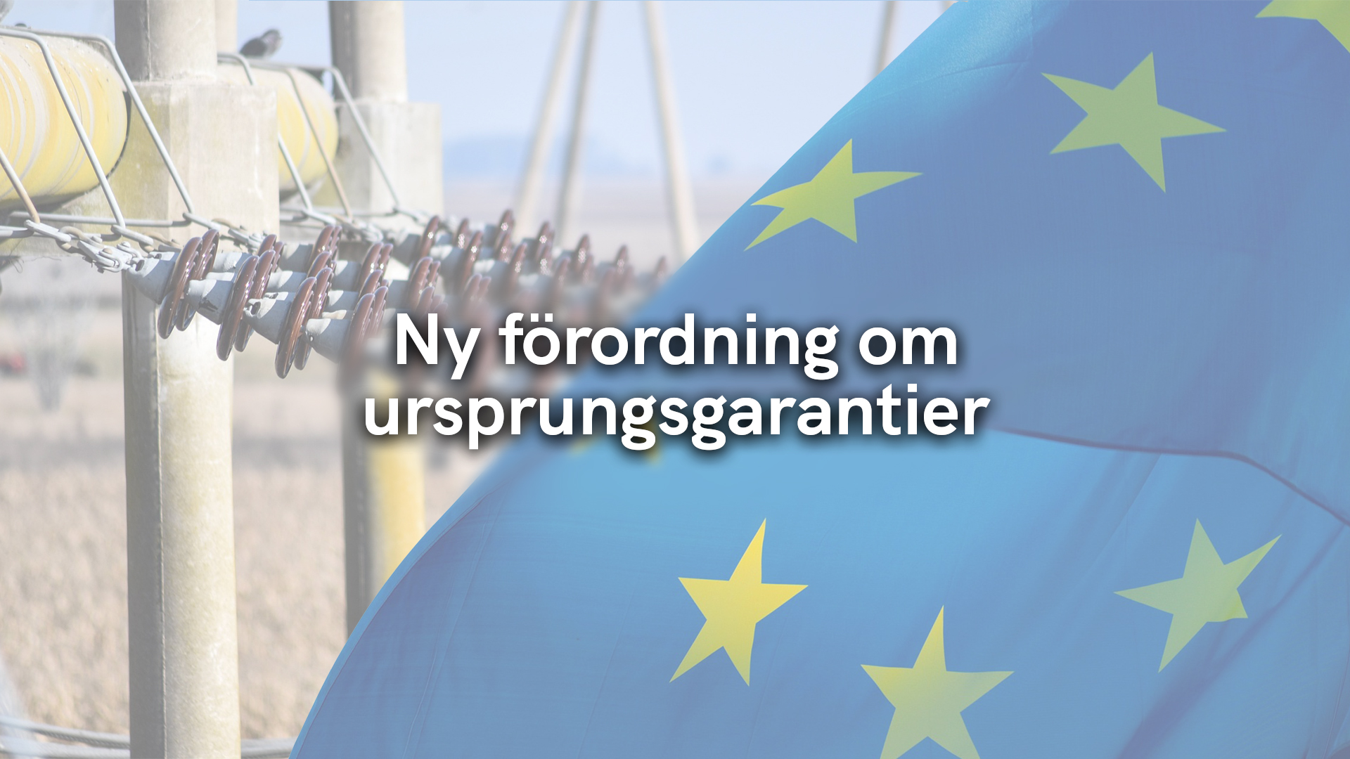 Ny förordning om ursprungsgarantier