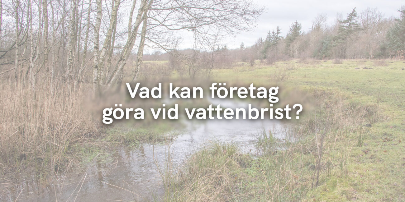 Vad kan företag göra vid vattenbrist?