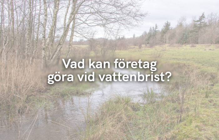Vad kan företag göra vid vattenbrist?