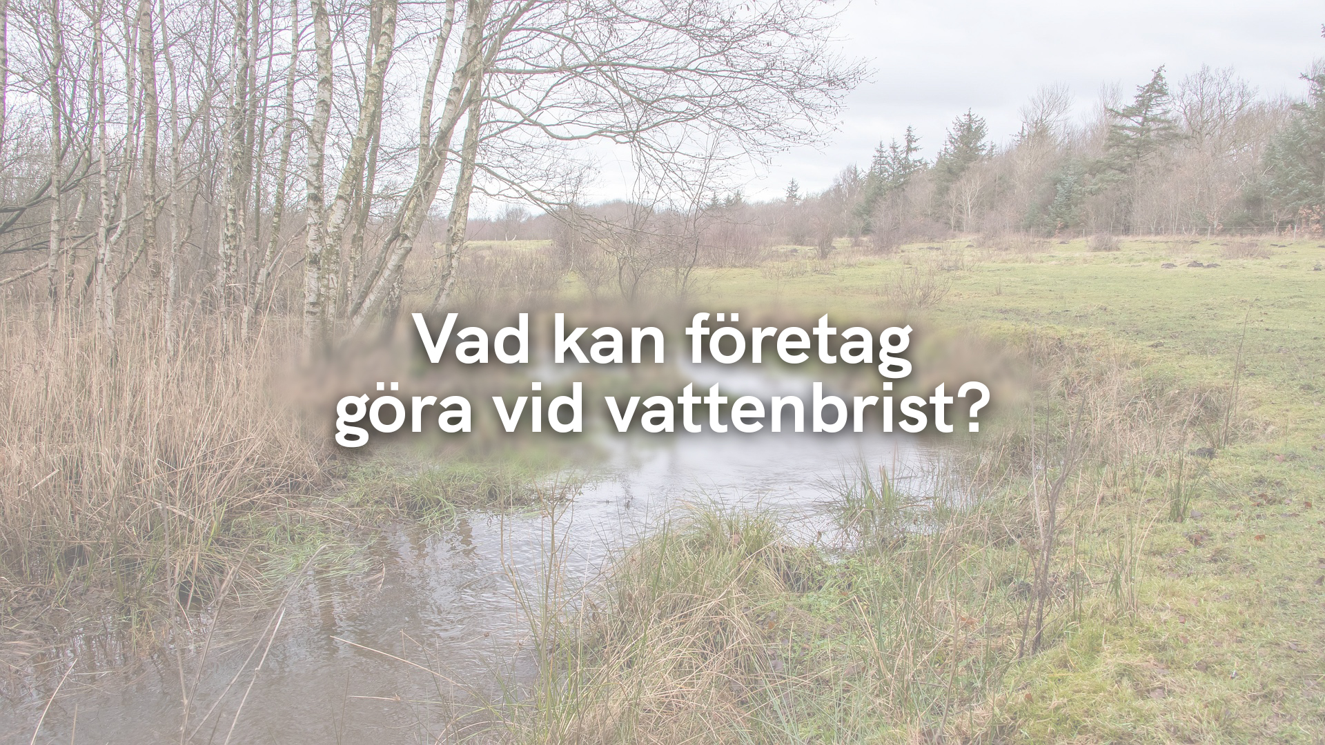 Vad kan företag göra vid vattenbrist?