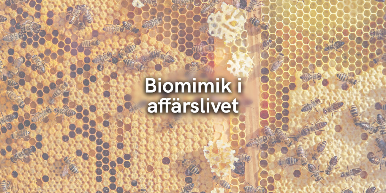 Biomimik i affärslivet