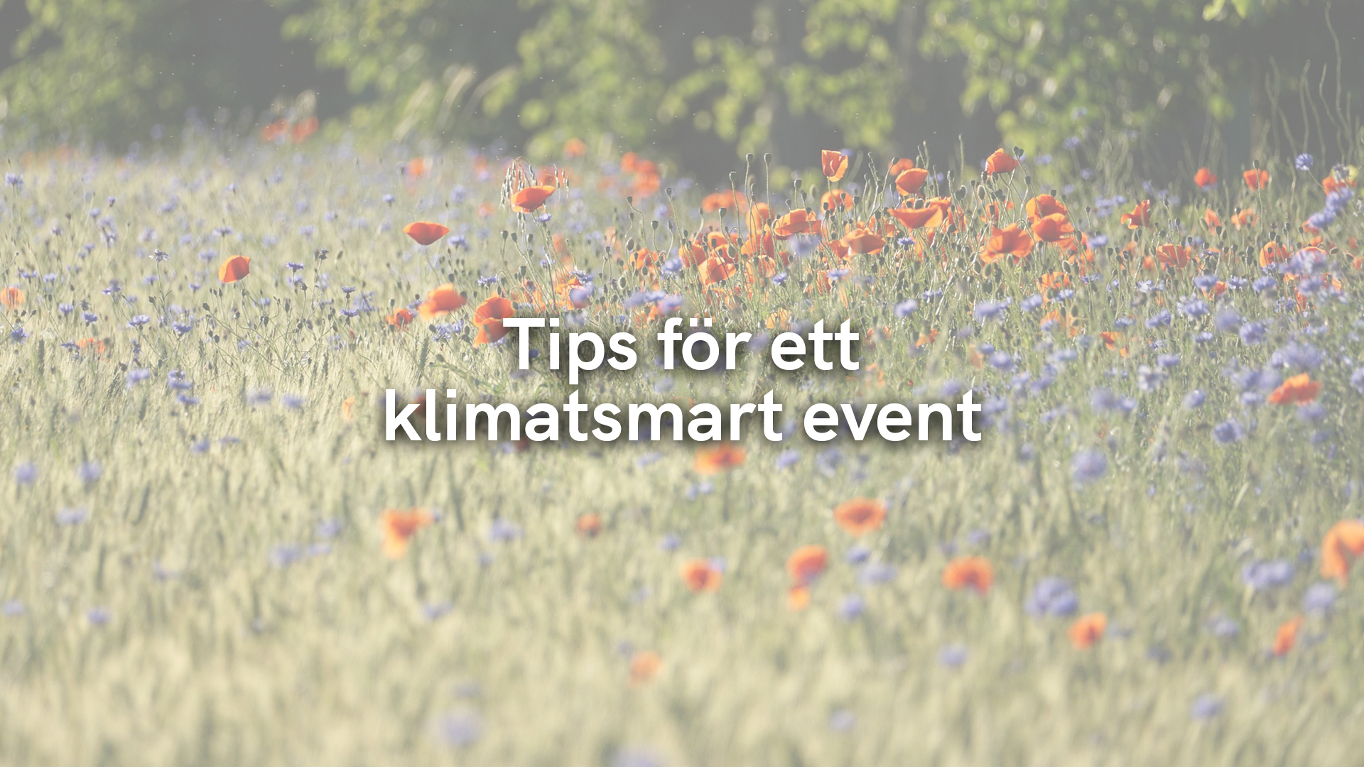 Tips för ett klimatsmart event