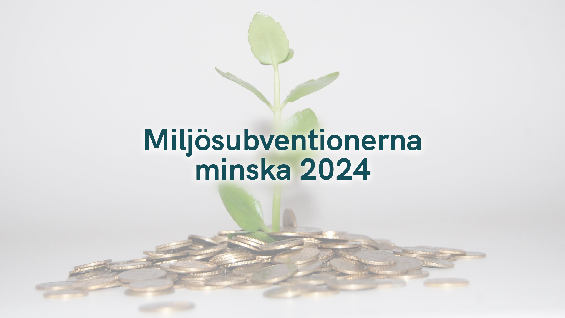 Miljösubventionerna minska 2024