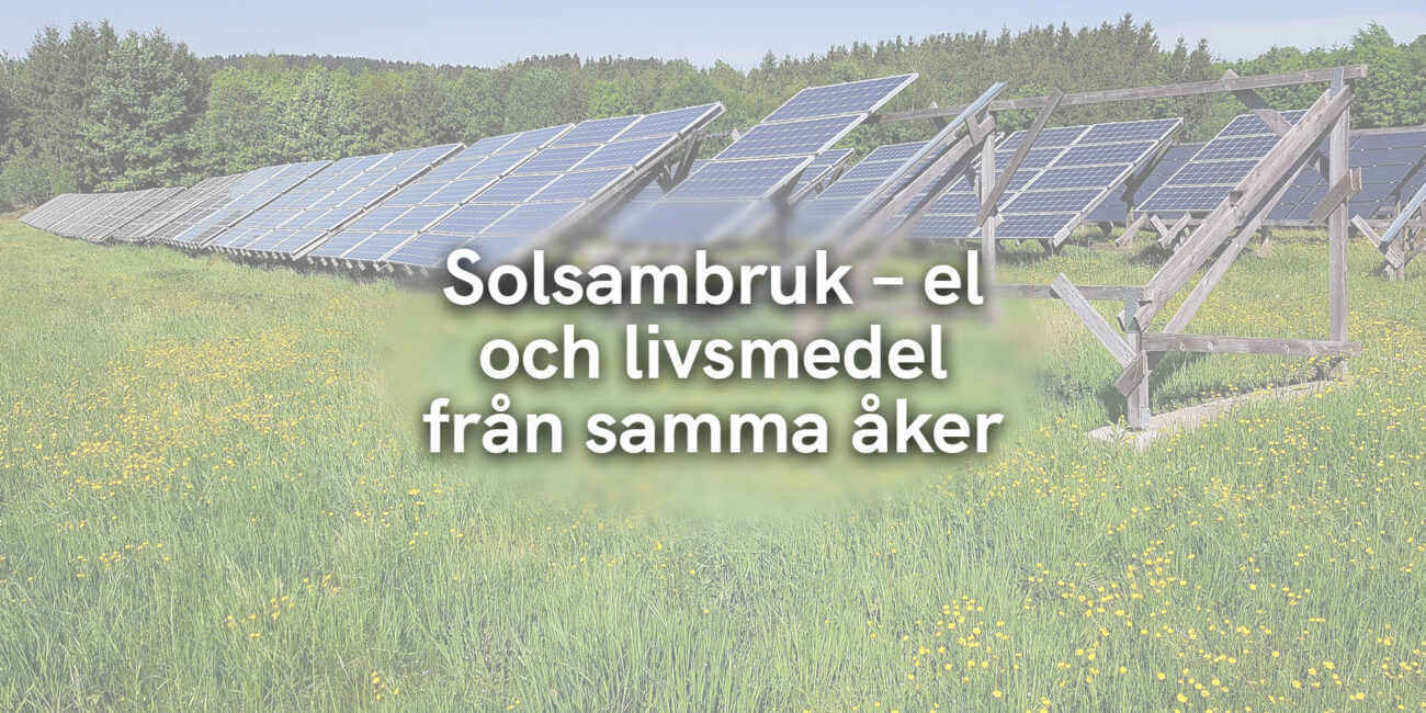 Solsambruk – el och livsmedel från samma åker