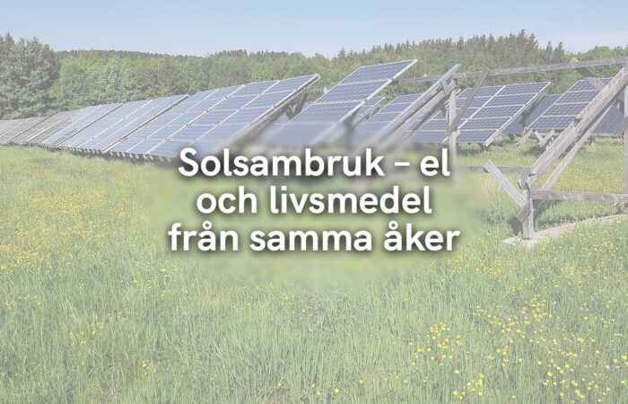 Solsambruk – el och livsmedel från samma åker