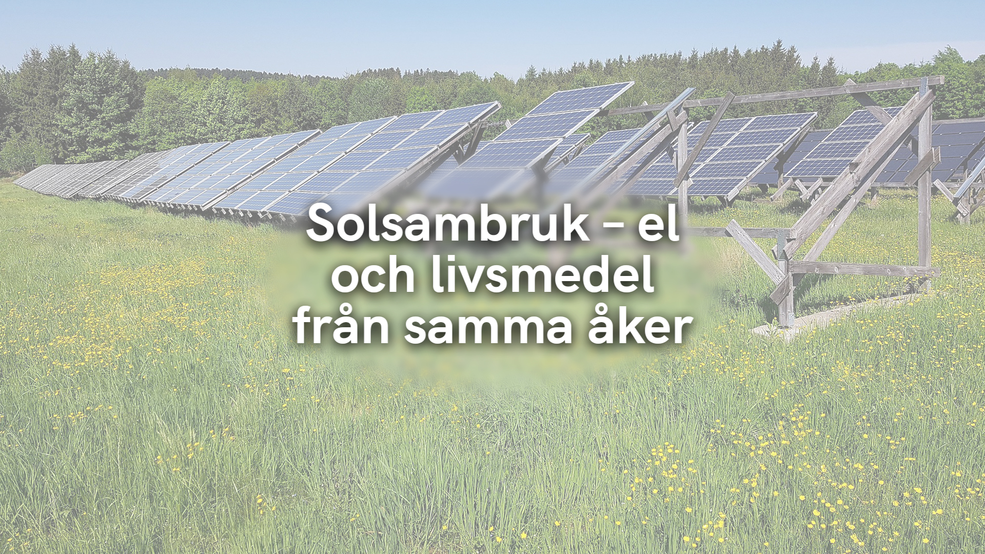 Solsambruk – el och livsmedel från samma åker