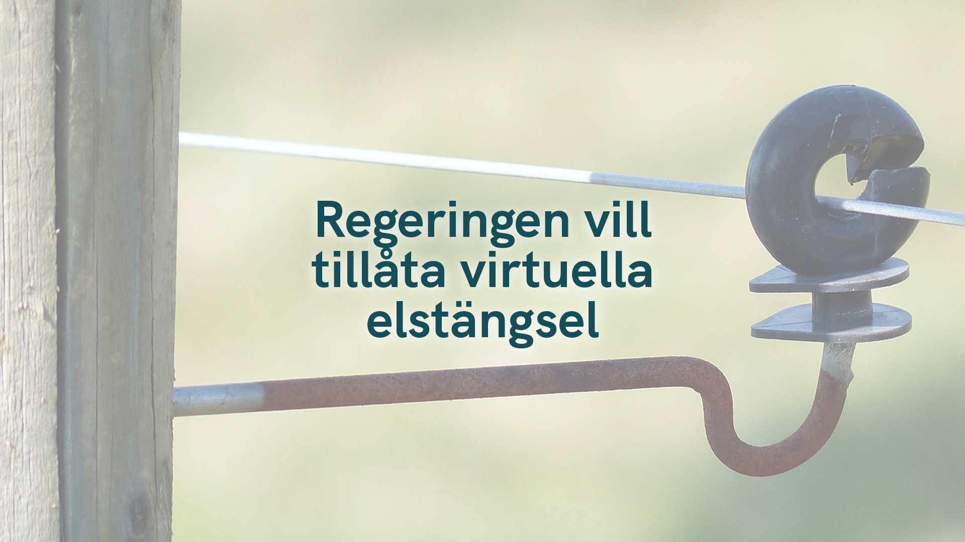 Regeringen vill tillåta virtuella elstängsel