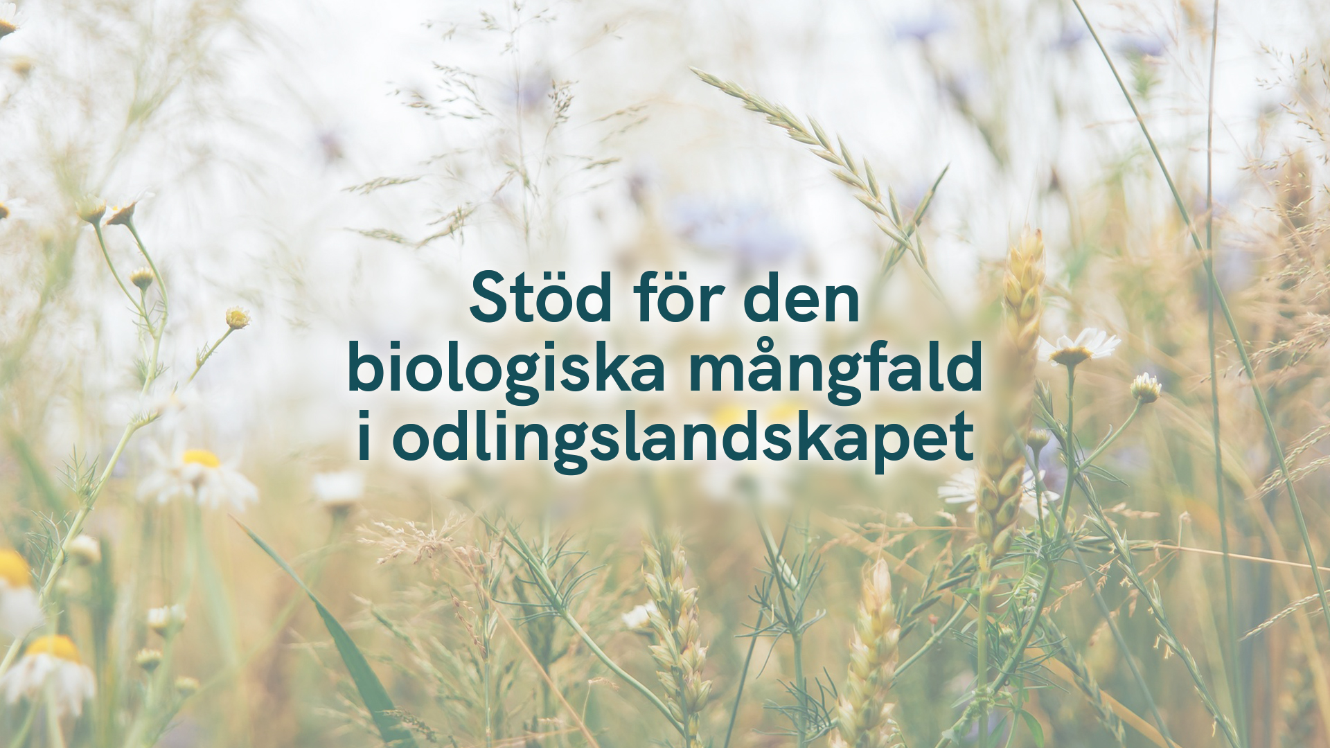 Stöd för den biologiska mångfald i odlingslandskapet
