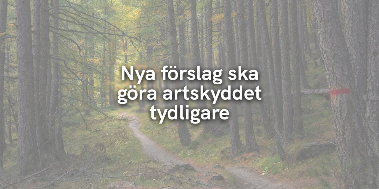 Nya förslag ska göra artskyddet tydligare