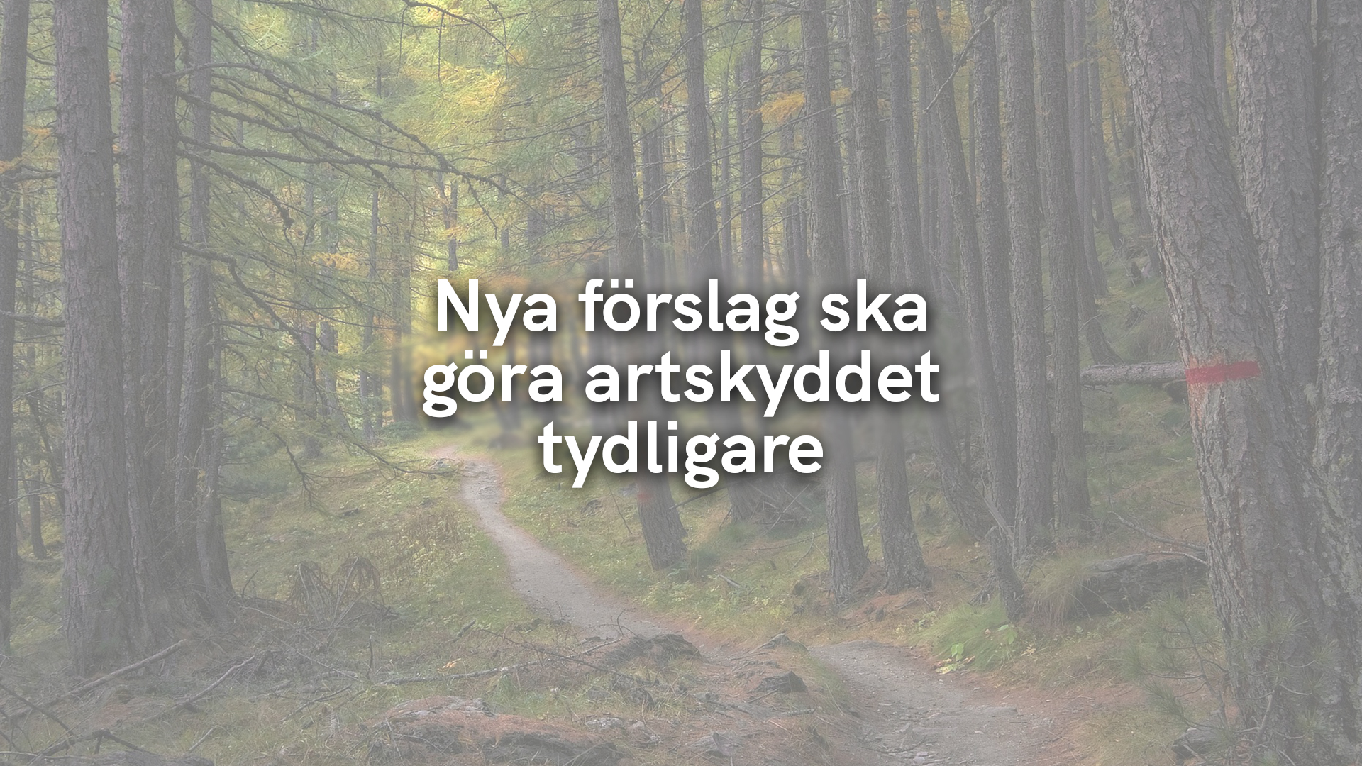Nya förslag ska göra artskyddet tydligare