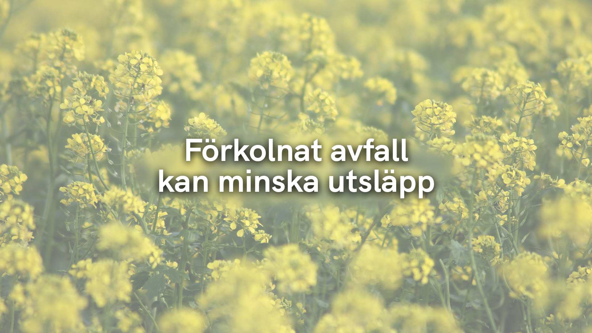 Förkolnat avfall kan minska utsläpp