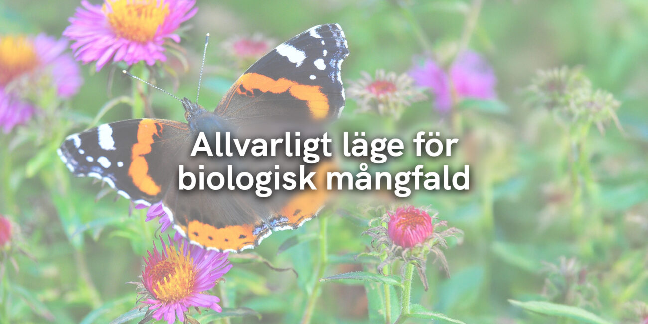 Allvarligt läge för biologisk mångfald