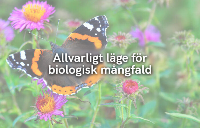 Allvarligt läge för biologisk mångfald
