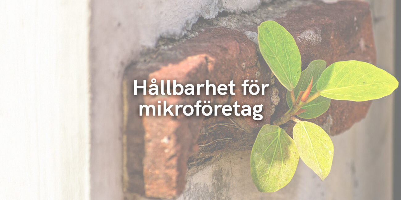 Hållbarhet för mikroföretag