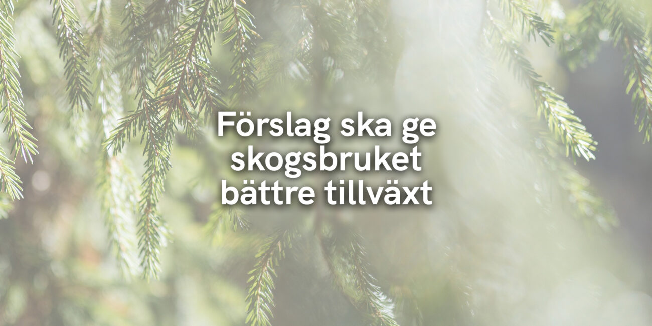 Förslag ska ge skogsbruket bättre tillväxt
