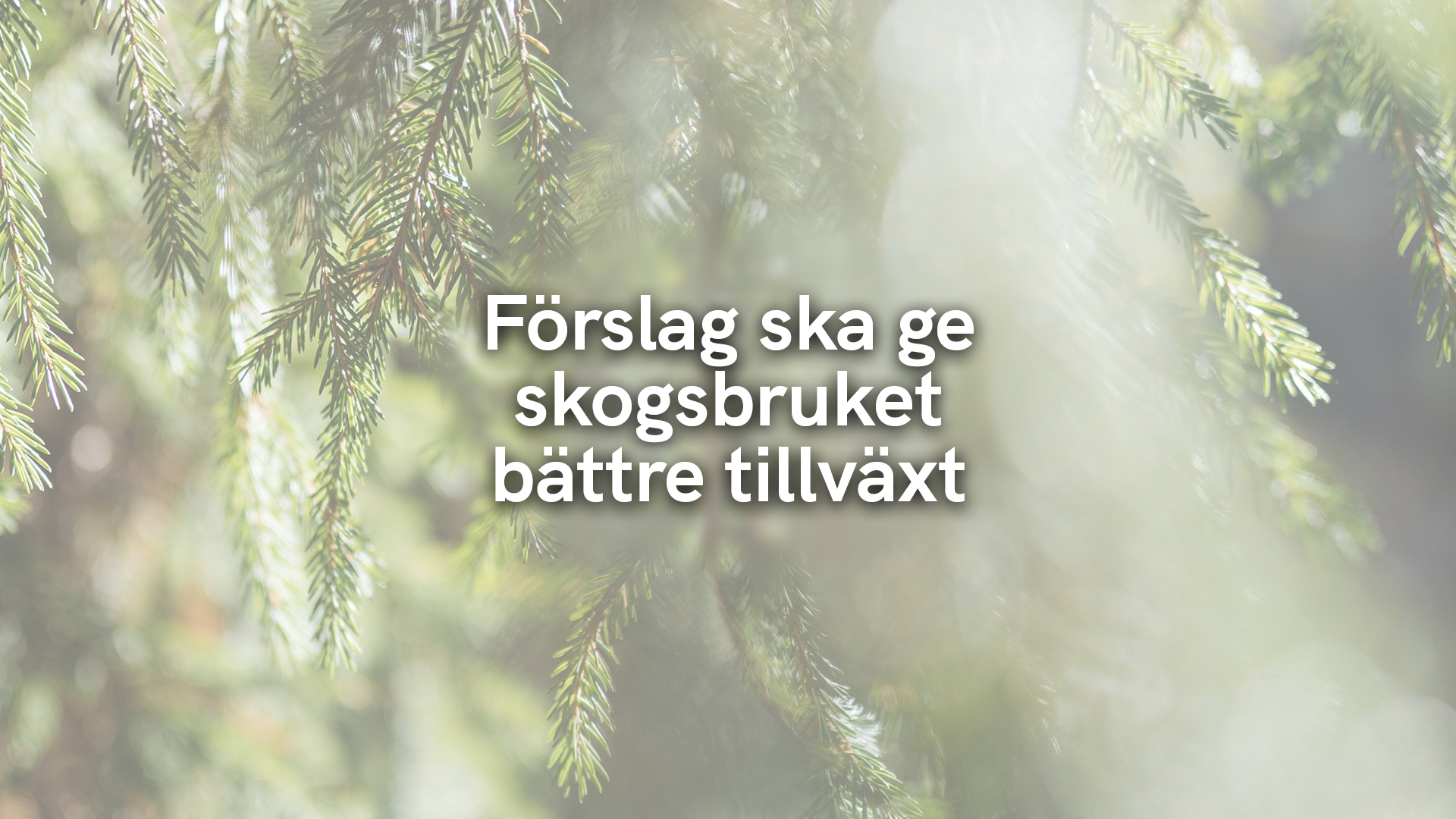 Förslag ska ge skogsbruket bättre tillväxt 