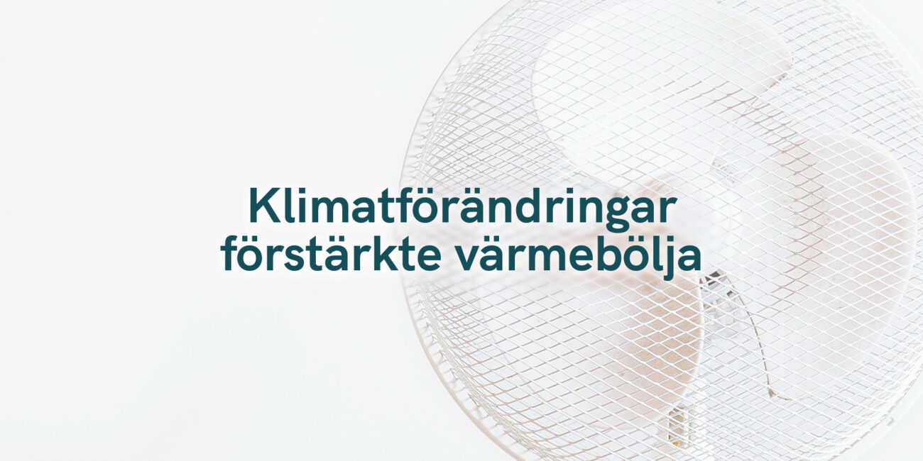 Klimatförändringar förstärkte värmebölja