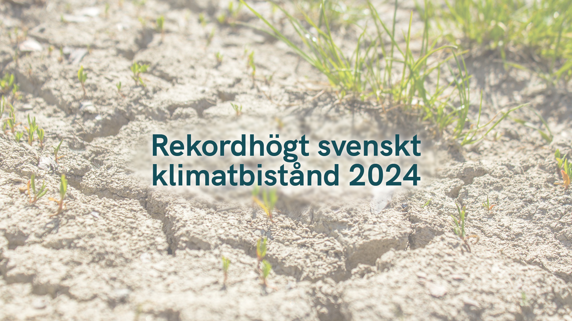 Rekordhögt svenskt klimatbistånd 2024