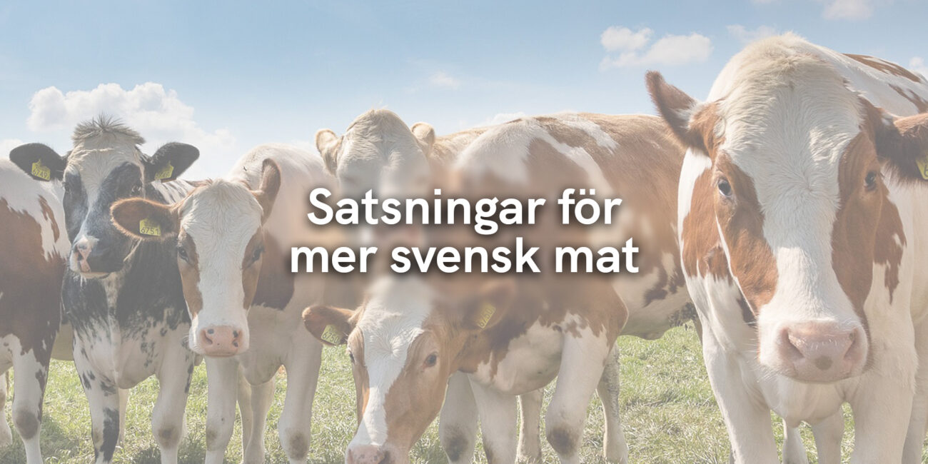 Satsningar för mer svensk mat