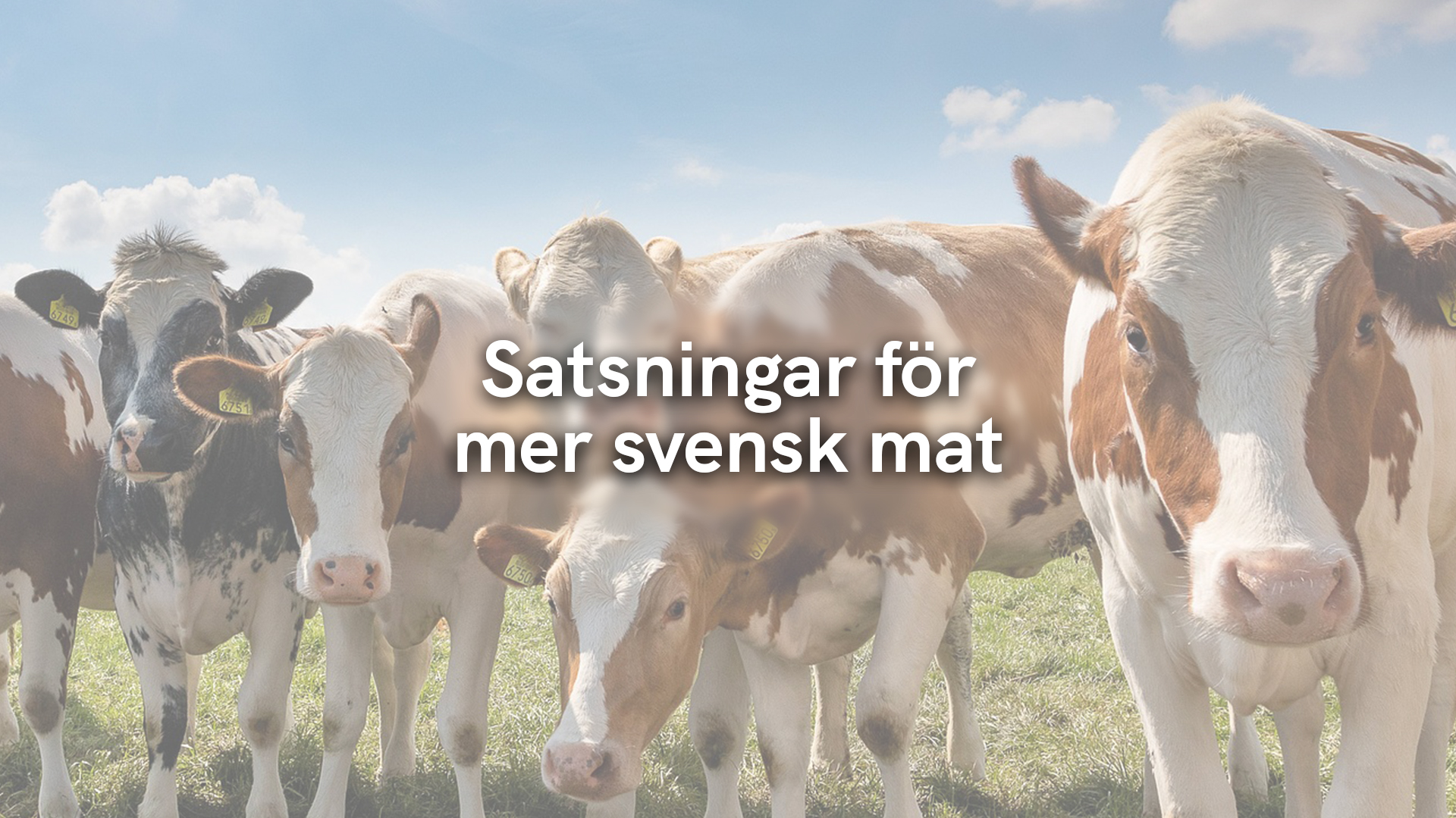 Satsningar för mer svensk mat