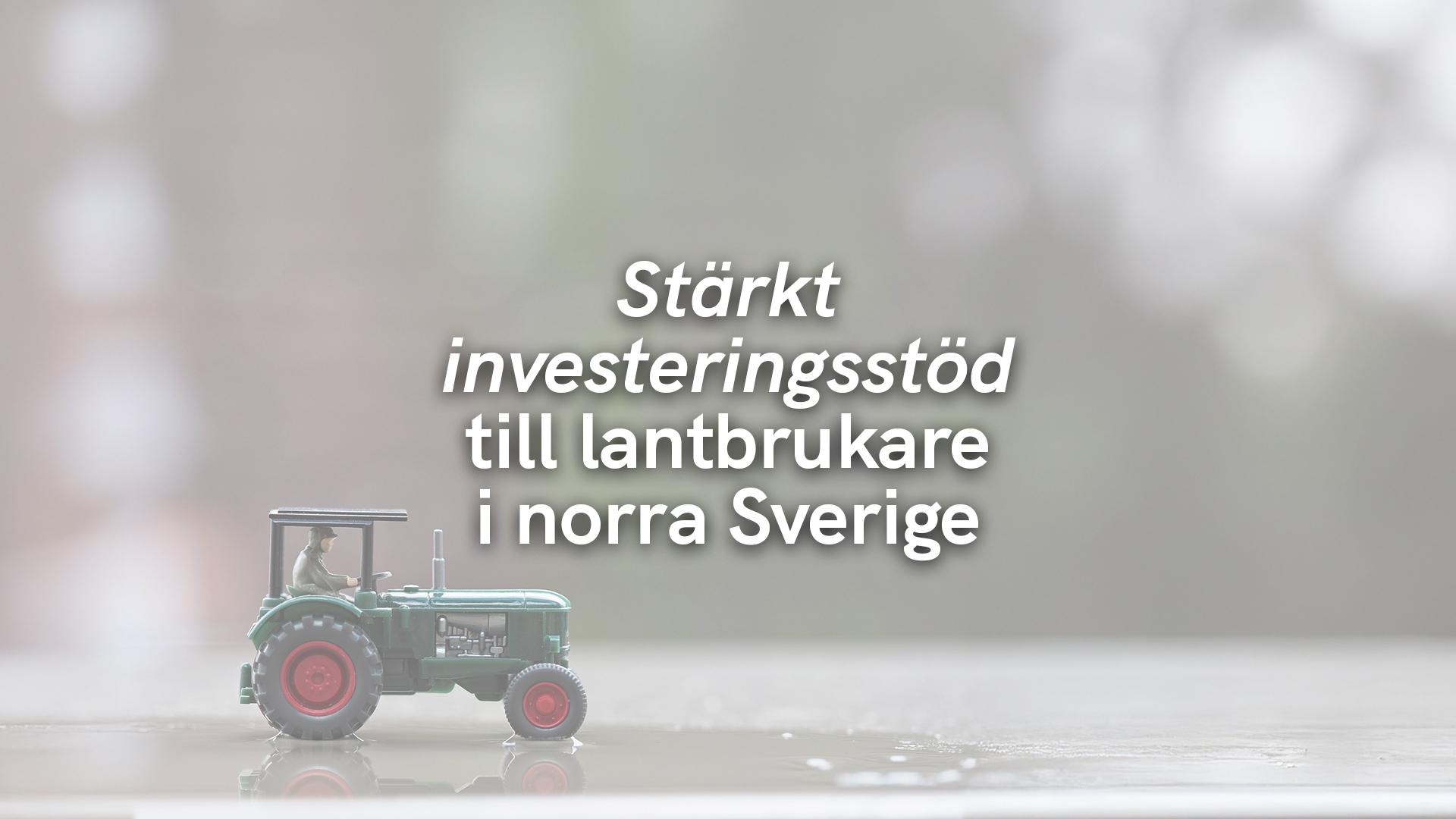 Stärkt investeringsstöd till lantbrukare i norra Sverige