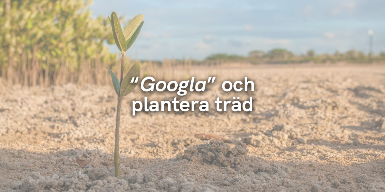“Googla” och plantera träd